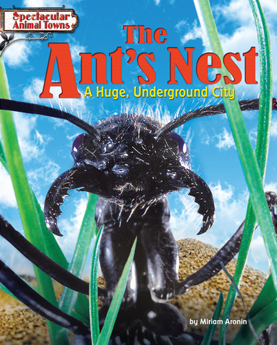The Ant's Nest (A Huge, Underground City) by Miriam Aronin, 9781944998585