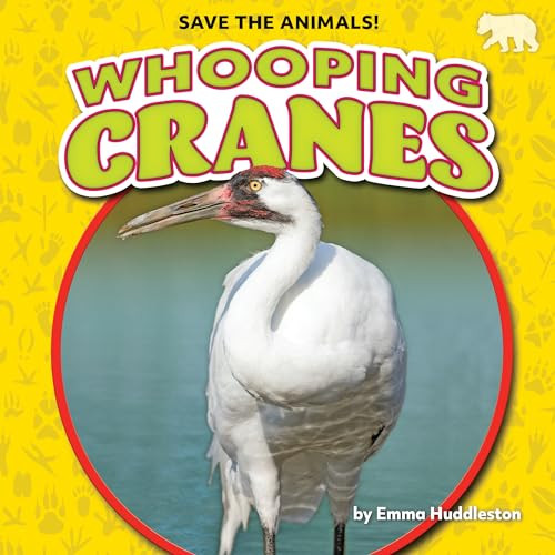 Whooping Cranes by Emma Huddleston, 9781636918037