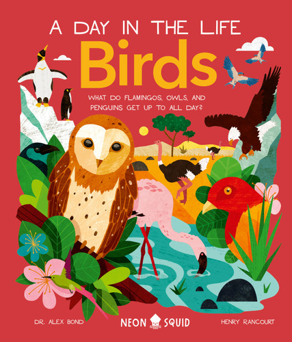 Birds (A Day in the Life) (What Do Flamingos, Owls, and Penguins Get Up To All Day?) by Dr. Alex Bond, Henry Rancourt, Neon Squid, 9781684492855