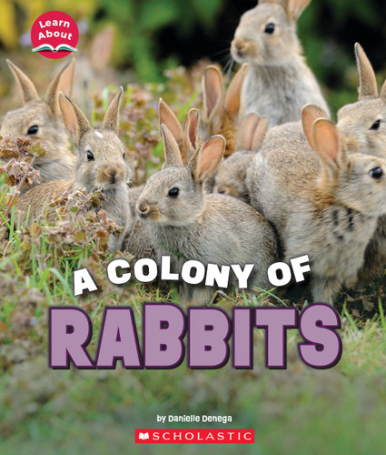 A Colony of Rabbits (Learn About: Animals) - 9781338853384 by Danielle Denega, 9781338853384