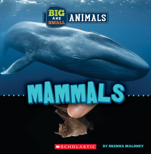 Mammals (Wild World: Big and Small Animals) - 9781338853575 by Brenna Maloney, 9781338853575
