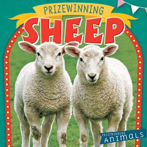 Prizewinning Sheep by Nancy Greenwood, 9781538386439