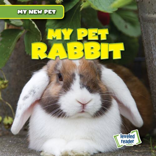 My Pet Rabbit by Nancy Greenwood, 9781538281130