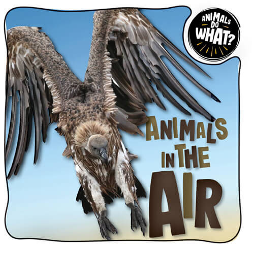 Animals in the Air by Brenda McHale, 9781978531321