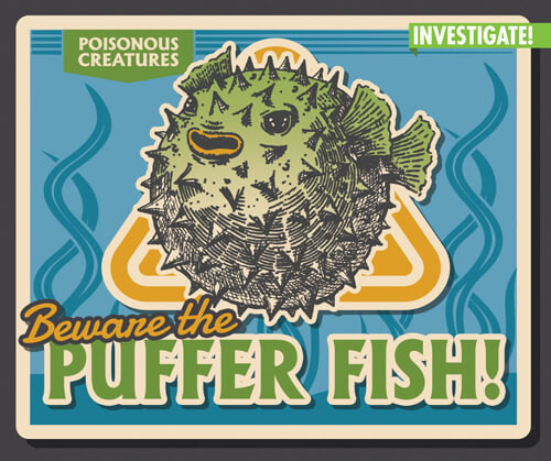 Beware the Puffer Fish! by Howard Phillips, 9781978527522