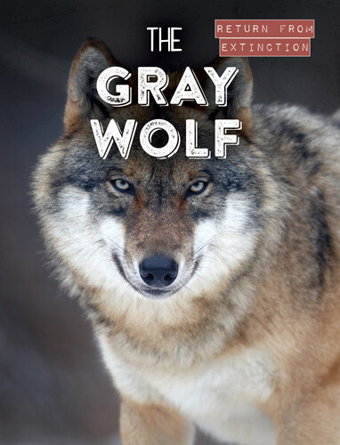 The Gray Wolf - 9781538280270 by Leonard Clasky, 9781538280270