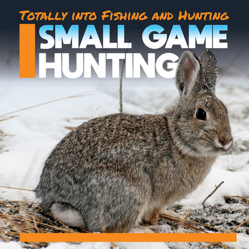 Small Game Hunting by Abby Badach Doyle, 9781538280133