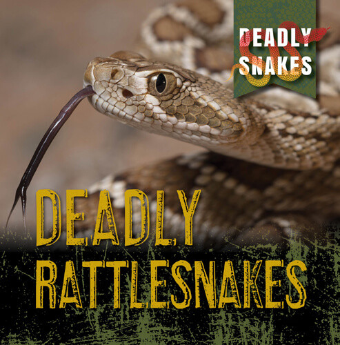 Deadly Rattlesnakes - 9781538279830 by Monika Davies, 9781538279830