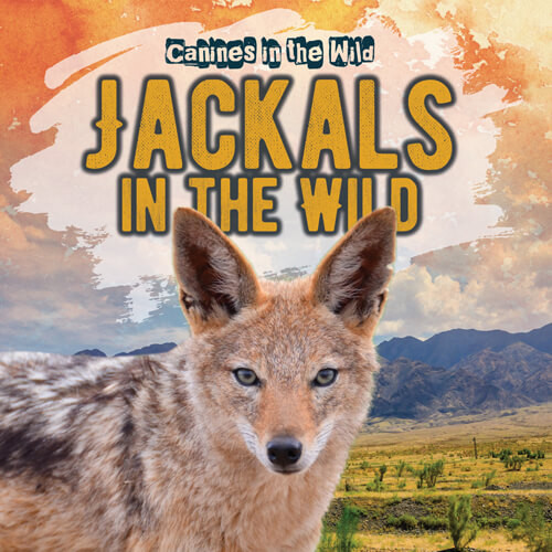 Jackals in the Wild - 9781538279670 by Natalie Humphrey, 9781538279670