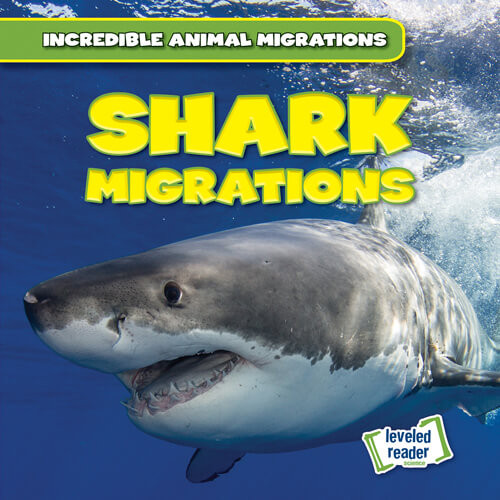 Shark Migrations by Anna McDougal, 9781538278413