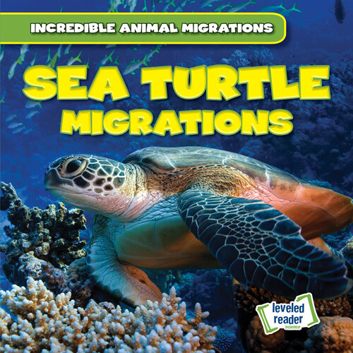 Sea Turtle Migrations by Anna McDougal, 9781538278376