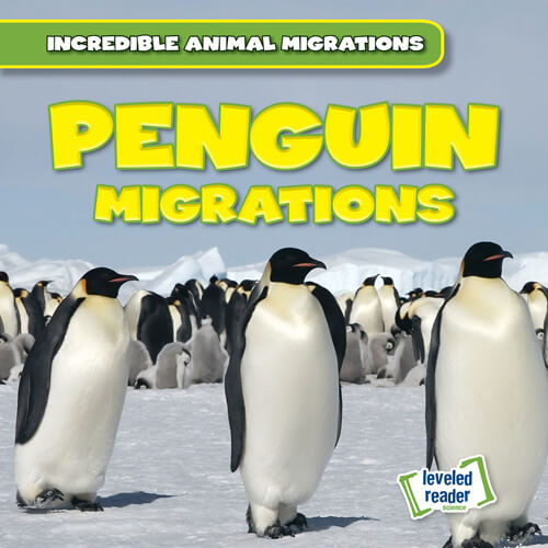 Penguin Migrations by Anna McDougal, 9781538278338