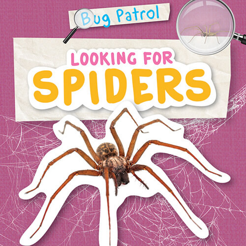 Looking for Spiders by Emilie Dufresne, 9781534541276