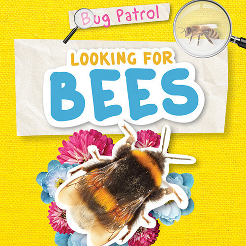 Looking for Bees - 9781534541177 by Emilie Dufresne, 9781534541177