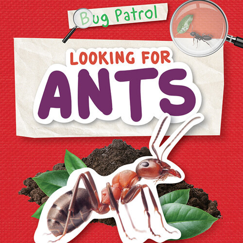 Looking for Ants - 9781534541139 by Emilie Dufresne, 9781534541139