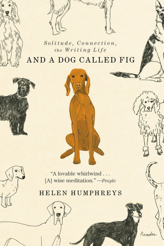 And a Dog Called Fig (Solitude, Connection, the Writing Life) - 9781250863065 by Helen Humphreys, 9781250863065