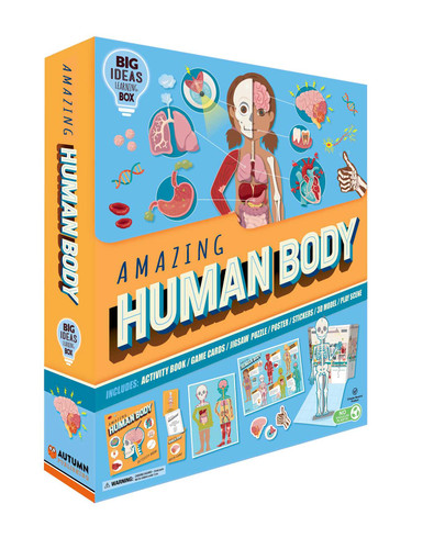Amazing Human Body (Big Ideas Learning Box) - 9781801087919 by IglooBooks, 9781801087919