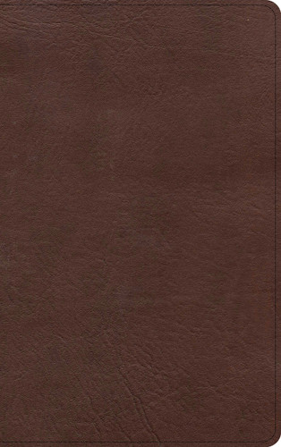 KJV Single-Column Personal Size Bible, Brown LeatherTouch by Holman Bible Publishers, 9781087722160