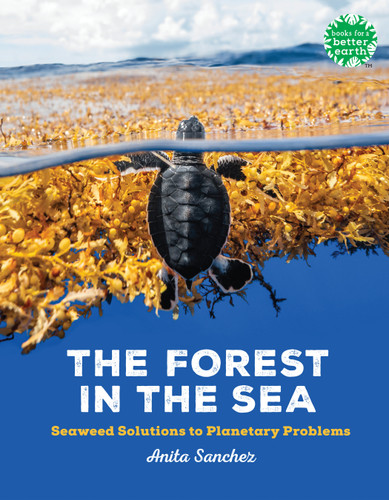 The Forest in the Sea (Seaweed Solutions to Planetary Problems) by Anita Sanchez, 9780823450138