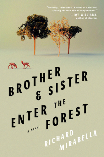Brother & Sister Enter the Forest (A Novel) by Richard Mirabella, 9781646221172