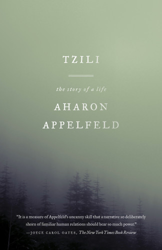 Tzili (The Story of a Life) by Aharon Appelfeld, Dalya Bilu, 9780805212495
