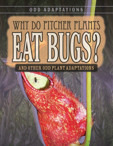 Why Do Pitcher Plants Eat Bugs? (And Other Odd Plant Adaptations) by Brianna Battista, 9781538220313