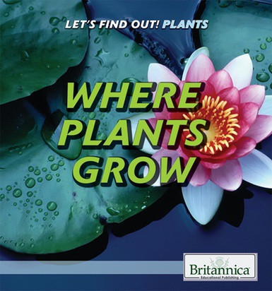 Where Plants Grow - 9781538302057 by Rebecca Kraft Rector, 9781538302057