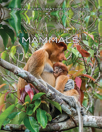 A Visual Guide to Mammals - 9781508186205 by Sol90 Editorial Staff, 9781508186205