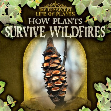 How Plants Survive Wildfires - 9781538233870 by Kate Mikoley, 9781538233870
