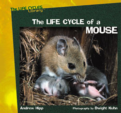 The Life Cycle of a Mouse by Andrew Hipp, 9780823958665