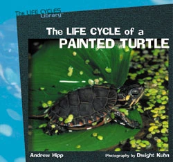 The Life Cycle of a Painted Turtle by Andrew Hipp, 9780823958696