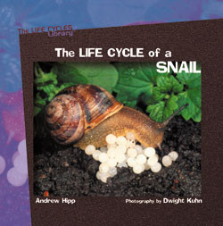 The Life Cycle of a Snail by Andrew Hipp, 9780823958719