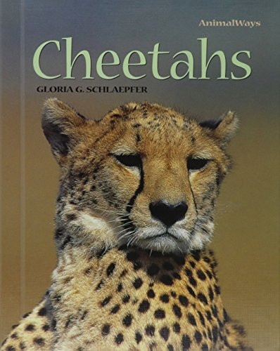 Cheetahs - 9780761412663 by Gloria G. Schlaepfer, 9780761412663