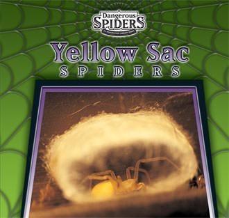 Yellow Sac Spiders by Eric Ethan, 9780836837704