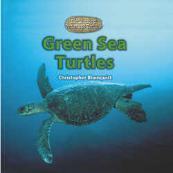 Green Sea Turtles by Christopher Blomquist, 9780823967384