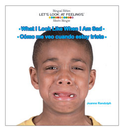 What I Look Like When I Am Sad / Cómo me veo cuando estoy triste (Bilingual Edition) by Joanne Randolph, 9781404275072