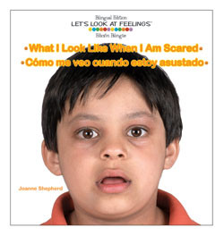What I Look Like When I Am Scared / Cómo me veo cuando estoy asustado by Joanne Shepherd, 9781404275096