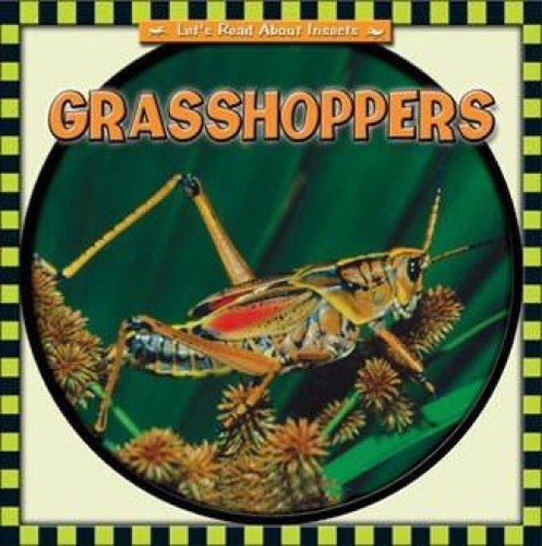 Grasshoppers - 9780836840544 by Susan Ashley