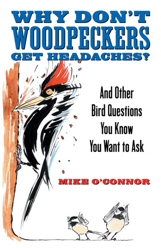 Why Don't Woodpeckers Get Headaches? (And Other Bird Questions You Know You Want to Ask) by Mike O'Connor, 9780807085745