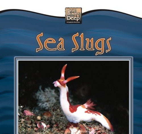 Sea Slugs by Valerie J. Weber, 9780836845631