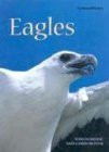 Eagles - 9780761415787 by Tom Warhol, Chris Reiter, 9780761415787