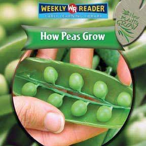 How Peas Grow by Joanne Mattern, 9780836863321