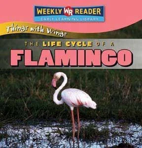 The Life Cycle of a Flamingo by JoAnn Early Macken, 9780836863826
