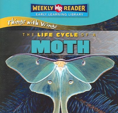 The Life Cycle of a Moth - 9780836863918 by JoAnn Early Macken, 9780836863918