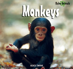 Monkeys and Apes by Alice Twine, 9781404237759
