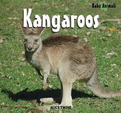 Kangaroos - 9781404241459 by Alice Twine, 9781404241459