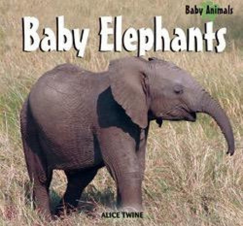 Baby Elephants - 9781404241480 by Alice Twine