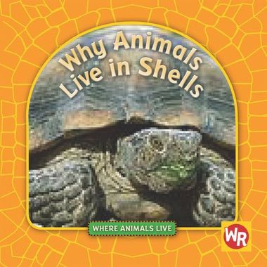 Why Animals Live in Shells - 9780836888041 by Valerie J. Weber, 9780836888041