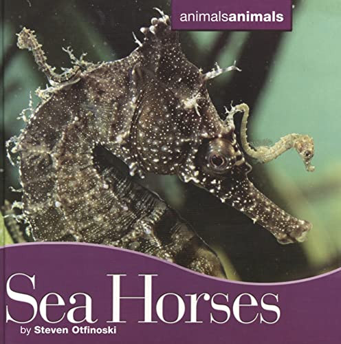Seahorses by Steven Otfinoski, 9780761425298