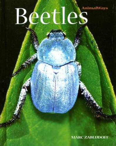 Beetles - 9780761425328 by Marc Zabludoff